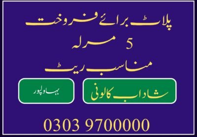 WhatsApp-Image-2025-05-13-at-9.43.12-AM