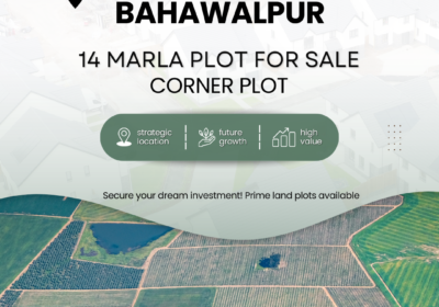 White-and-Tosca-Modern-Land-Plot-Sale-Promotion-Instagram-Post-6